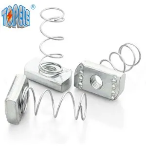 אגוז ערוץ אביב ארוך